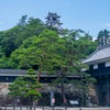 高知城（１）