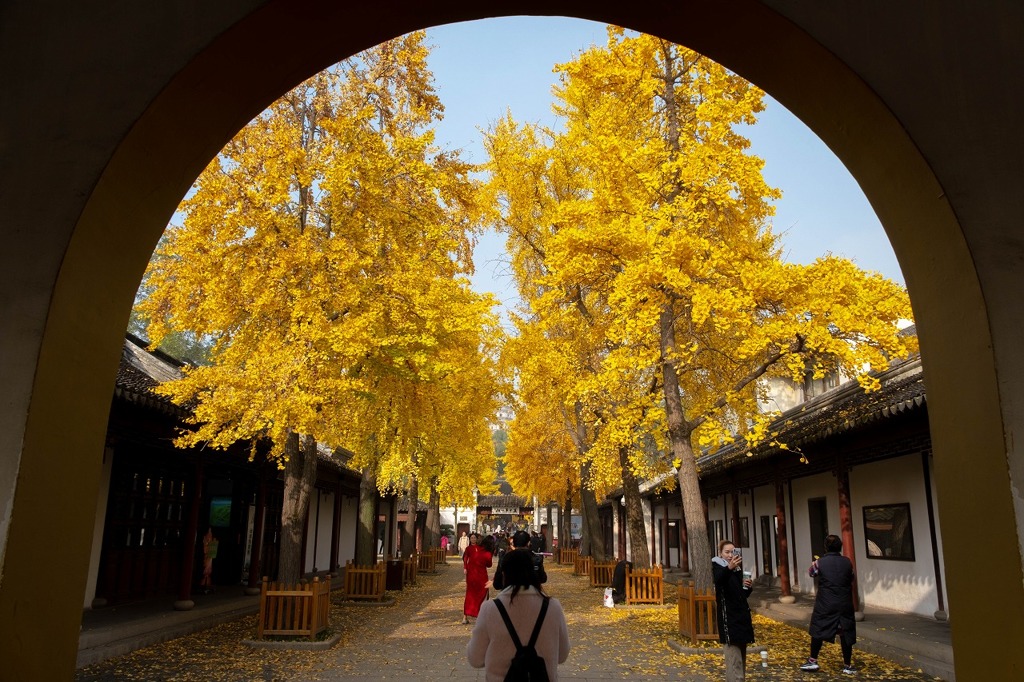 京杭大運河（３）