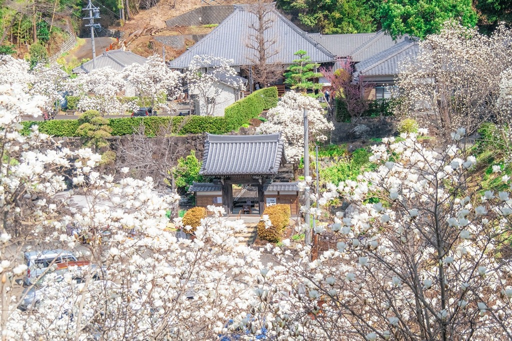 十輪寺（３）