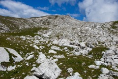 アルぺ・デ・シウジ（16）