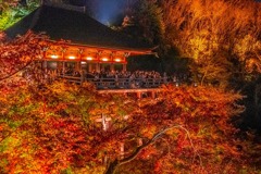 京都の夜景（17）