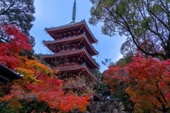 12月の高知（11）