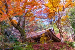 12月の奈良（45）