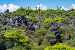 坪庭探勝路（２）