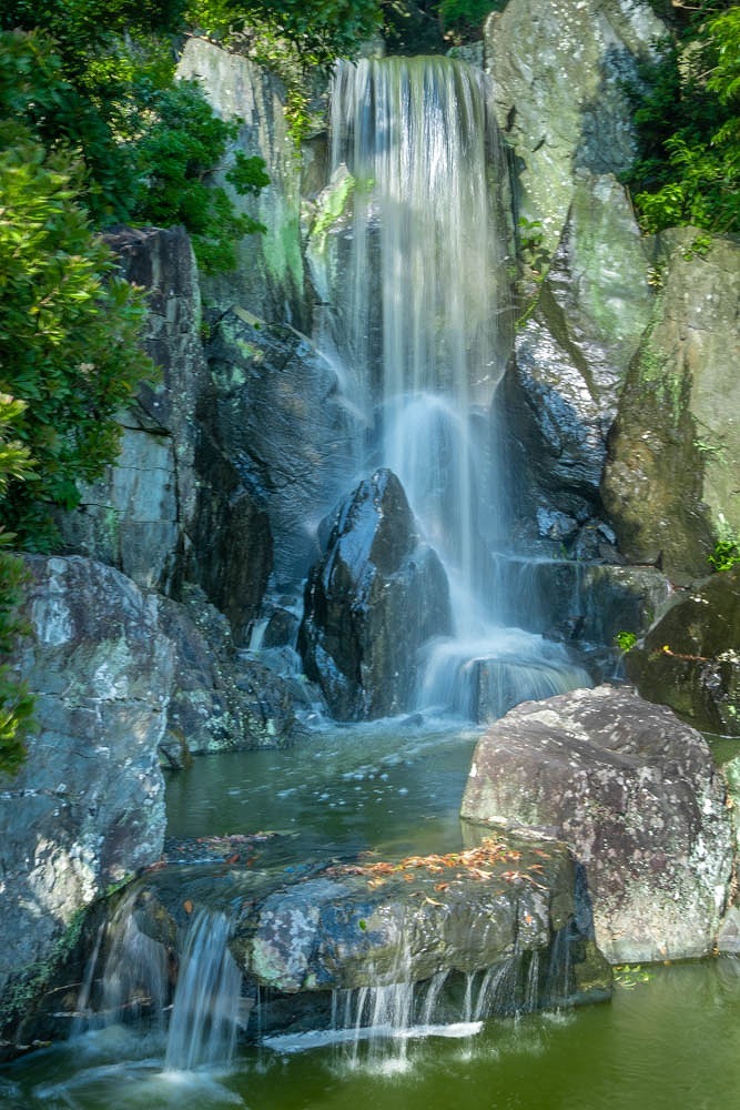 夏到来（６）