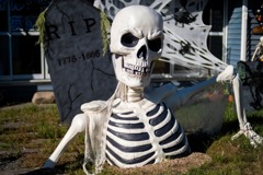 ハッピー・ハロウィン（１）