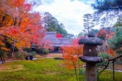 12月の奈良（９）