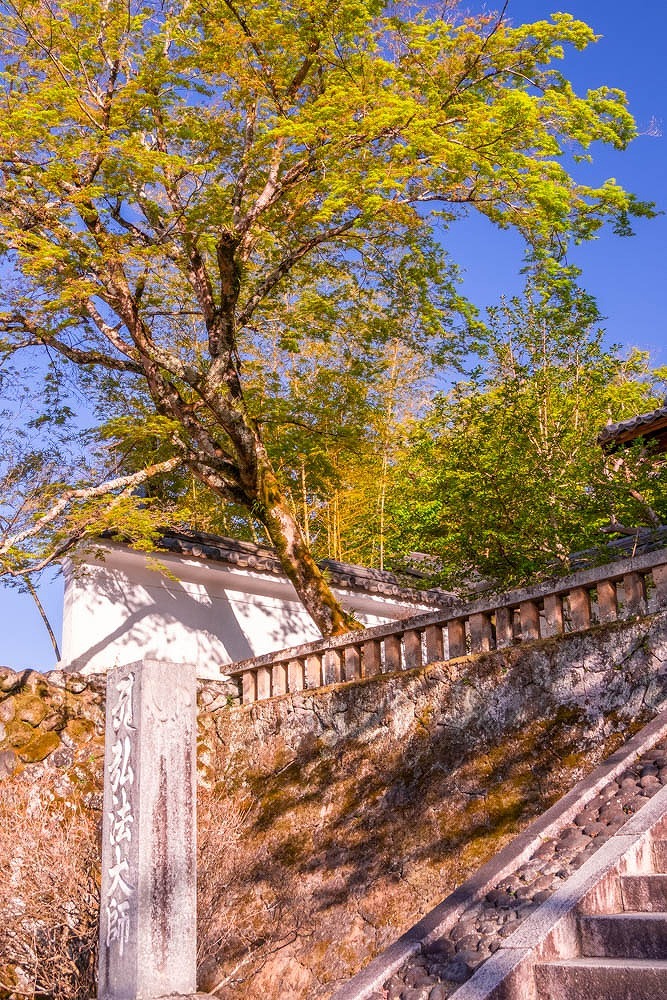 修善寺（２）