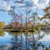 朝の大沼国定公園（18）