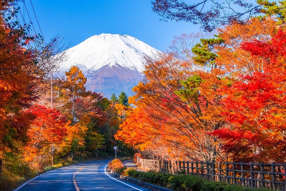 秋の山中湖（２）