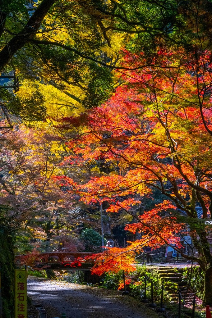 秋の島根（15）