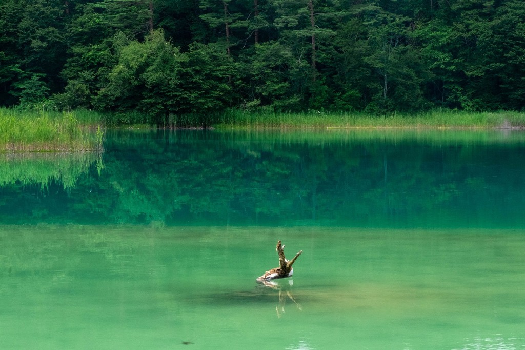五色湖（３）