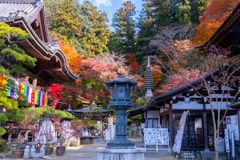 12月の奈良（73）