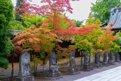 弘前（７）