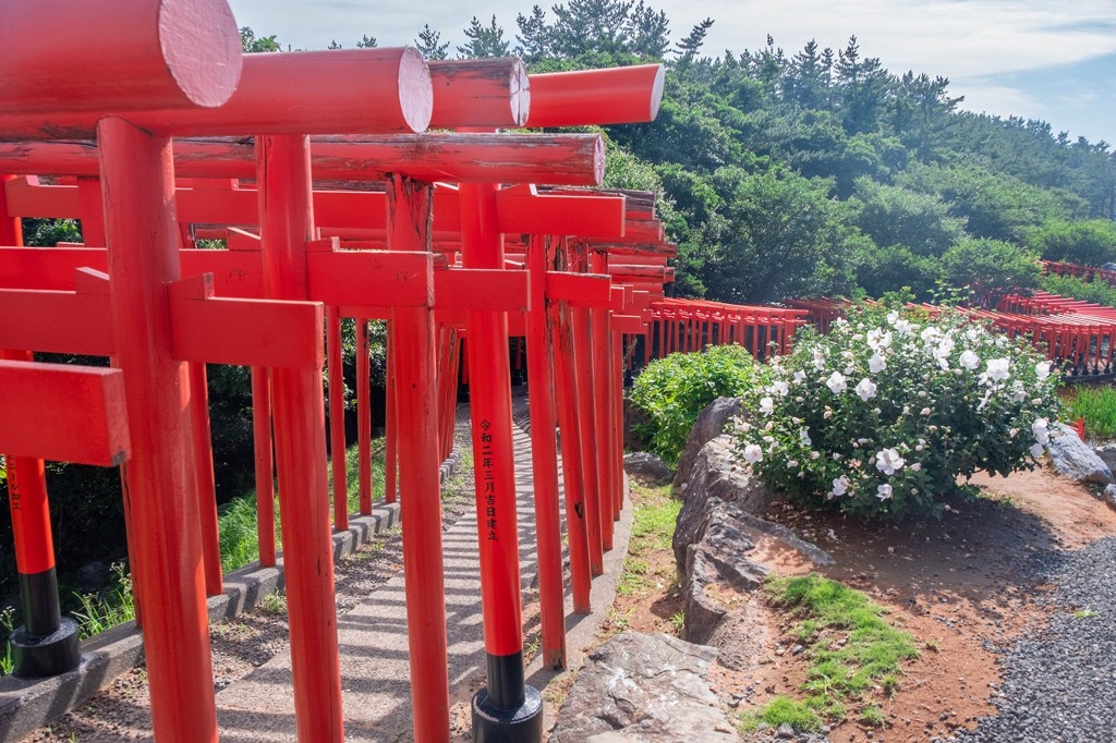 高山稲荷神社（６）