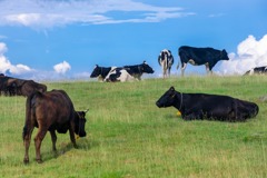 美ヶ原の夜明け（11）