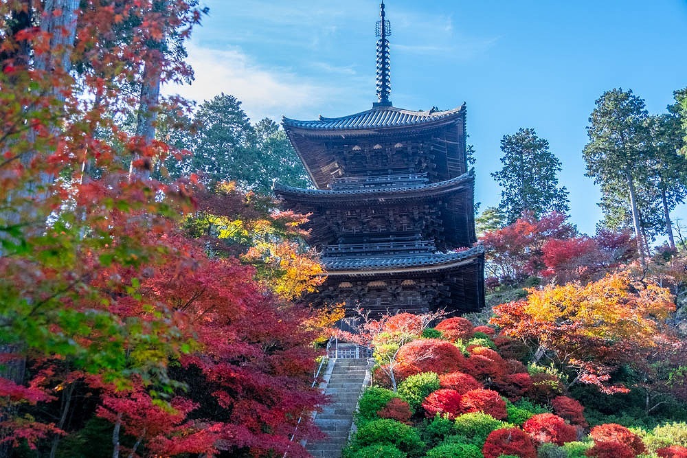 秋の湖南三山（９）