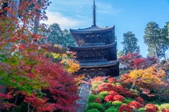 秋の湖南三山（９）