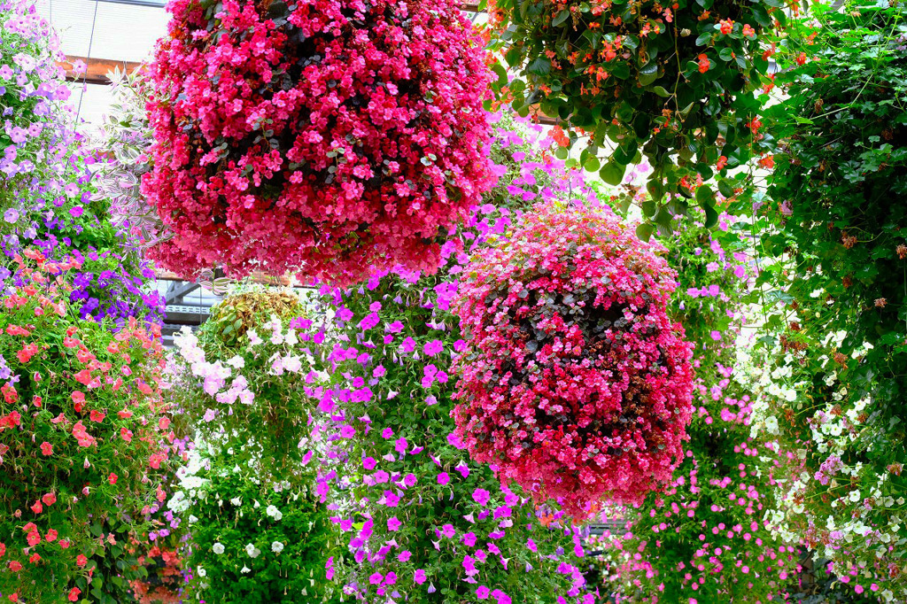 加茂荘花鳥園（18）