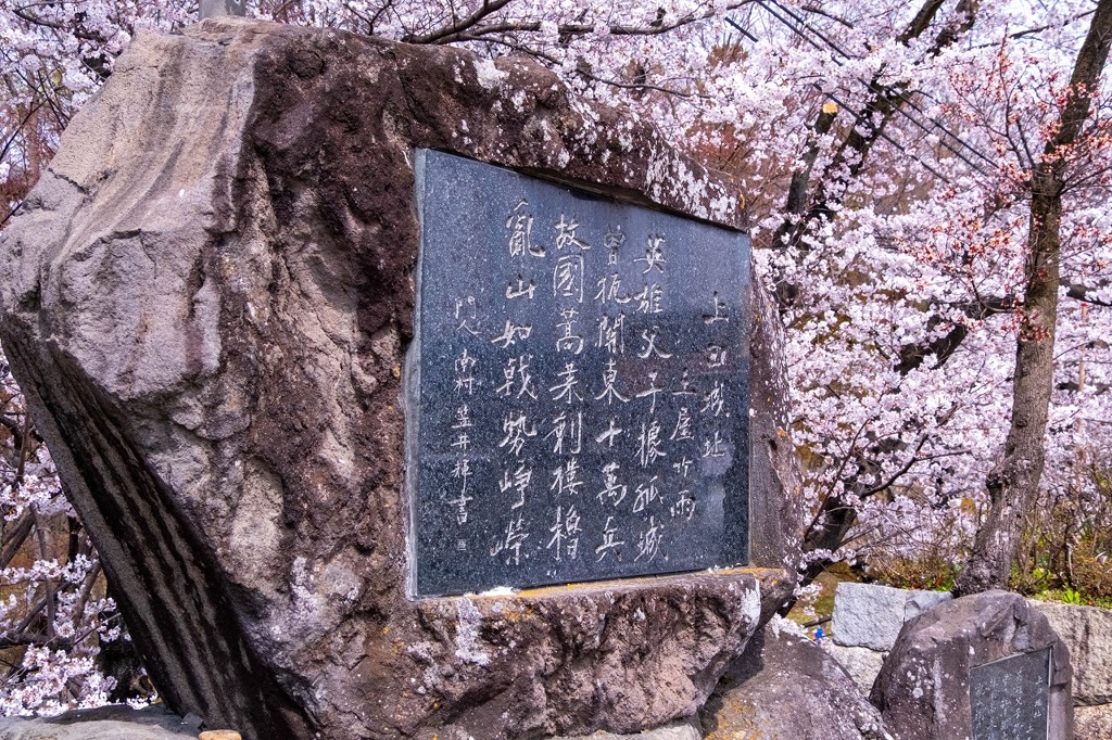 上田の春（31）