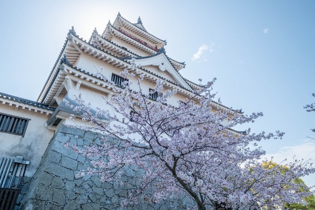 春の唐津城（４）