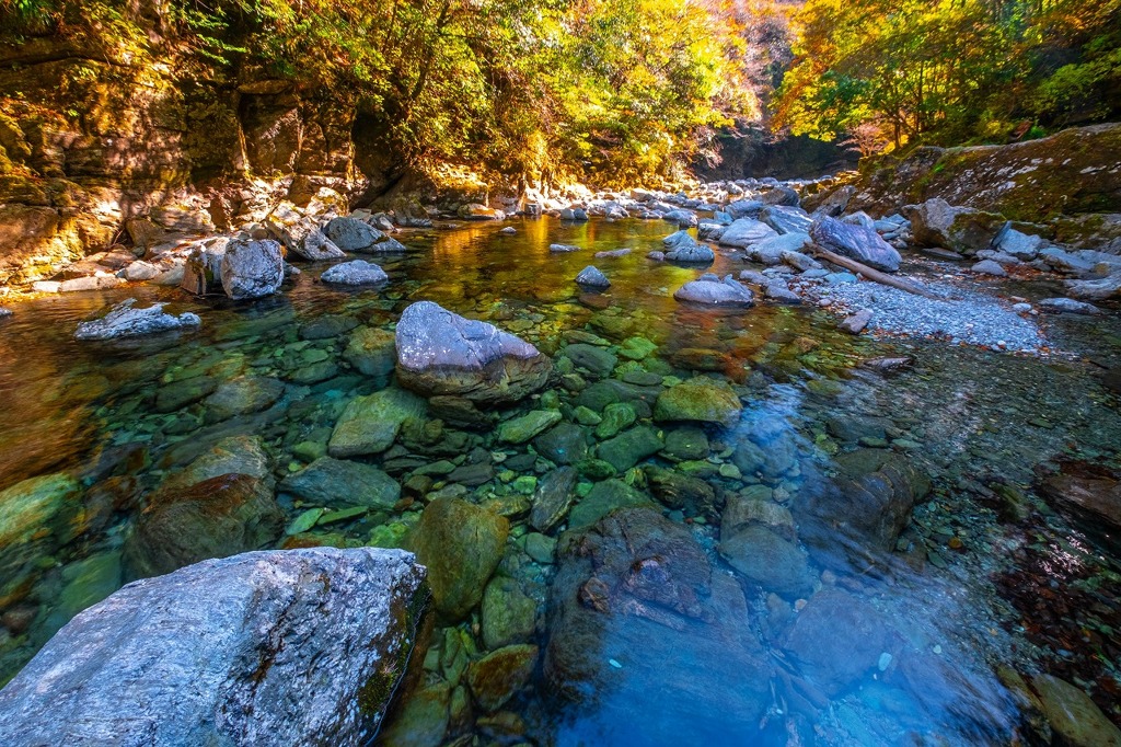 12月の高知（52）