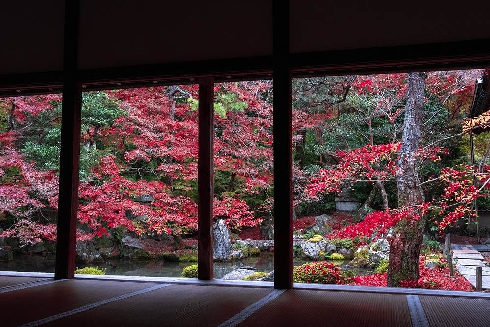 秋の京都（14）