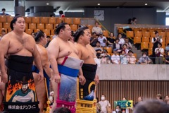 大相撲静岡場所（30）