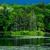 知床五湖（７）