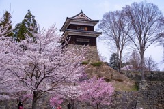 上田の春（40）