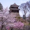 上田の春（40）