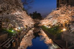 松川城の夜景（６）