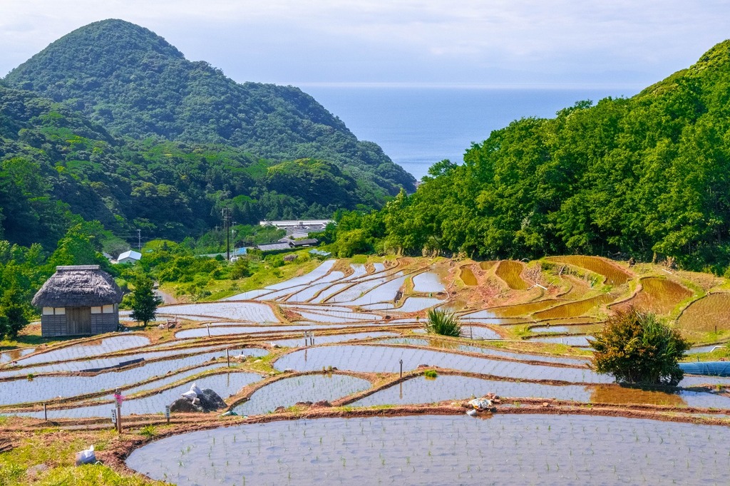 石部の棚田（６）