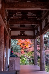 12月の奈良（48）