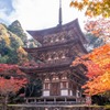 秋の湖東三山（16）
