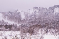 雪の志賀高原（８）