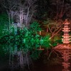 夜の兼六園（６）