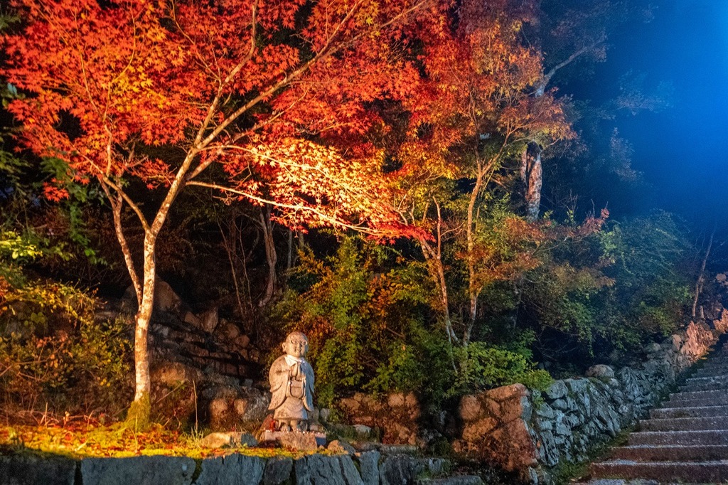 夜の紅葉（２）