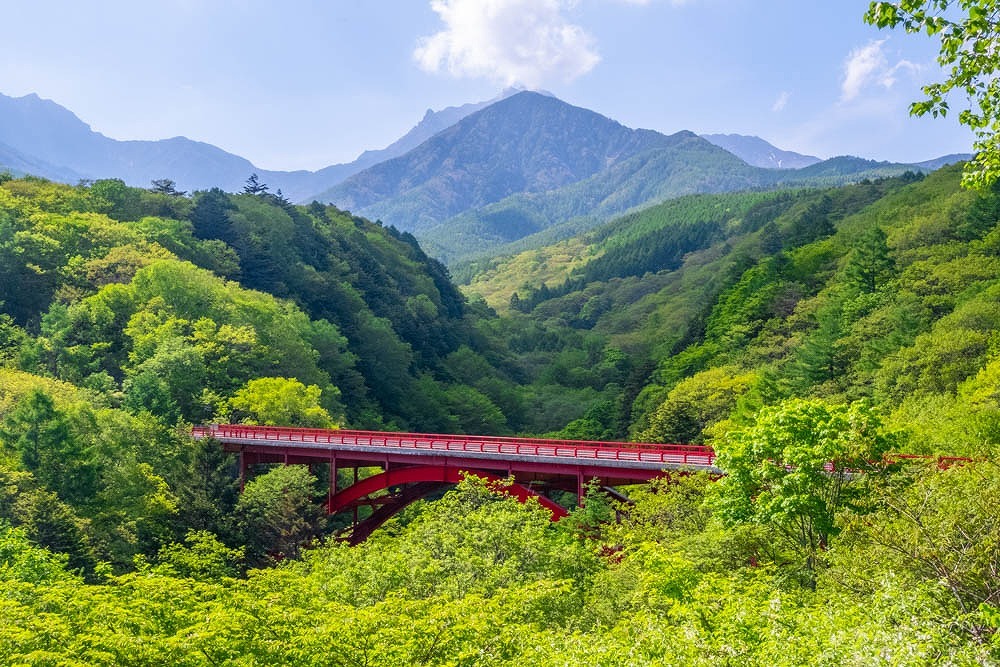八ヶ岳（１）