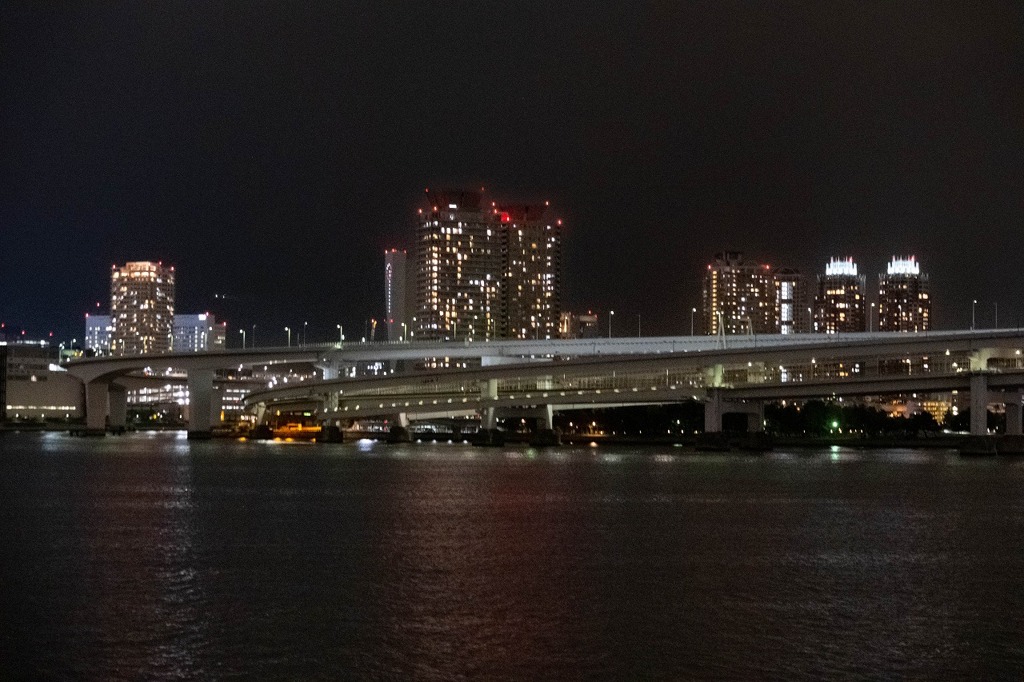 東京湾ナイトクルーｽﾞ（16）