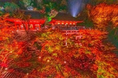 京都の夜景（18）