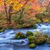 秋の奥入瀬渓流（27）