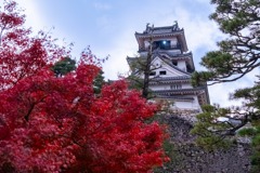 12月の高知（19）
