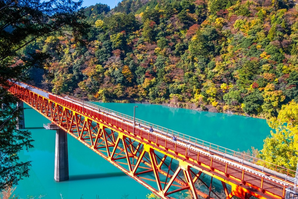 大井川鐡道の旅（19）