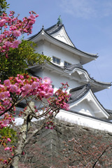 伊賀上野城３