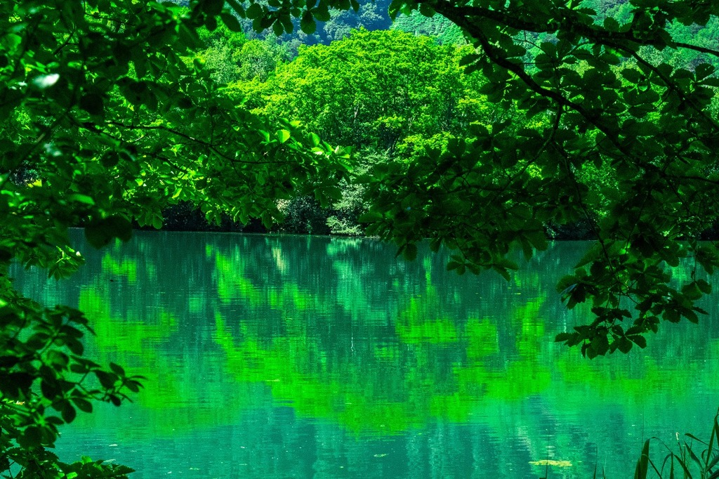 志賀高原の夏（２）