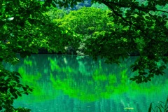 志賀高原の夏（２）