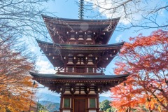 12月の奈良（21）
