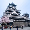 春の熊本城（５）