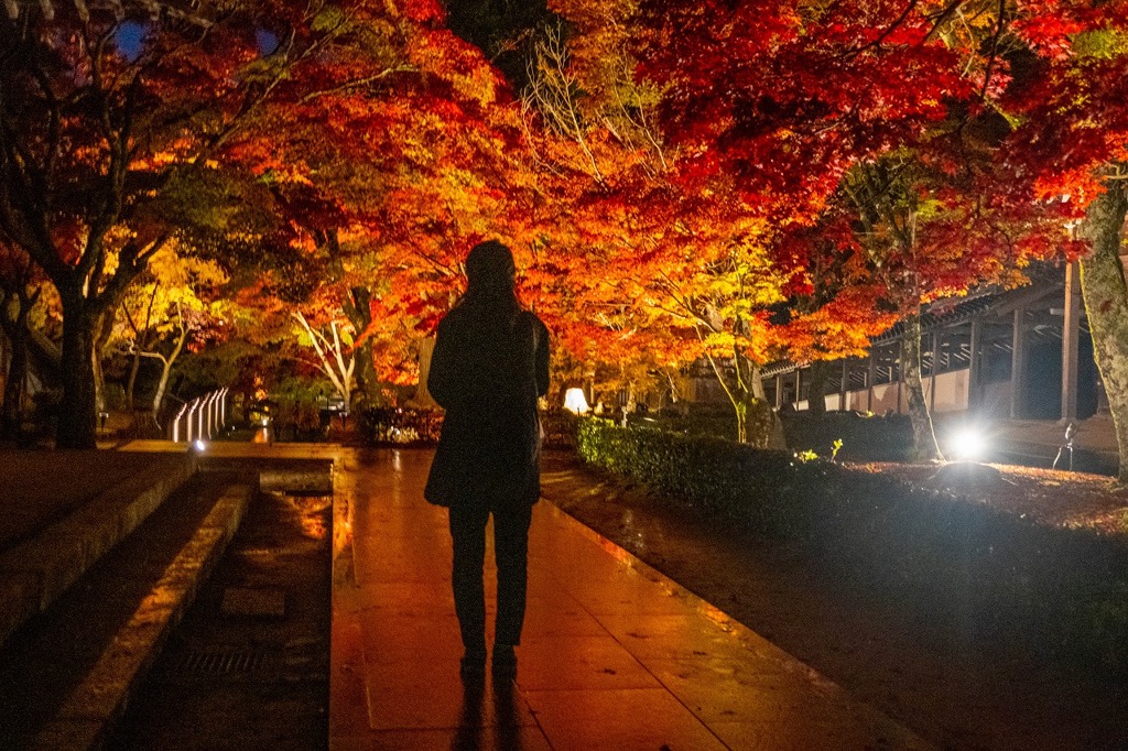 夜の紅葉（１）